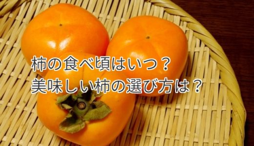 柿の食べごろはいつ？美味しい選び方や見分け方の３つのポイント！